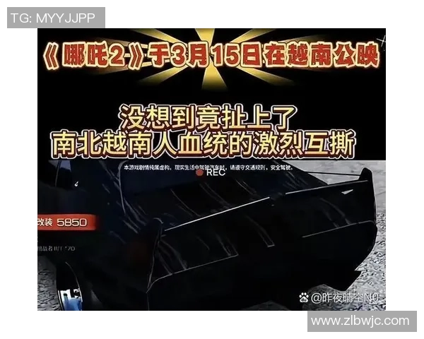 韩国网民对越南文化的热议与争议引发的网络讨论与反思